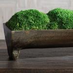 Canal Moss Centerpiece, Small - Image 4