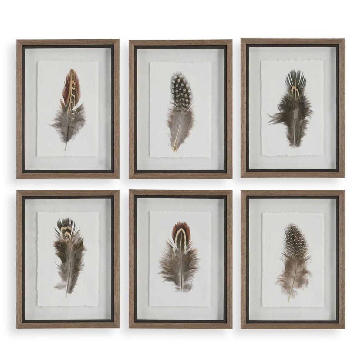 Birds Of A Feather Framed Prints, S/6 - Image 2