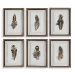 Birds Of A Feather Framed Prints, S/6