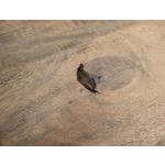 Wooden Table - Xel-Ha - Image 6