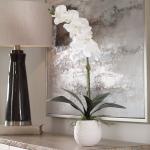 Cami Orchid - Image 4