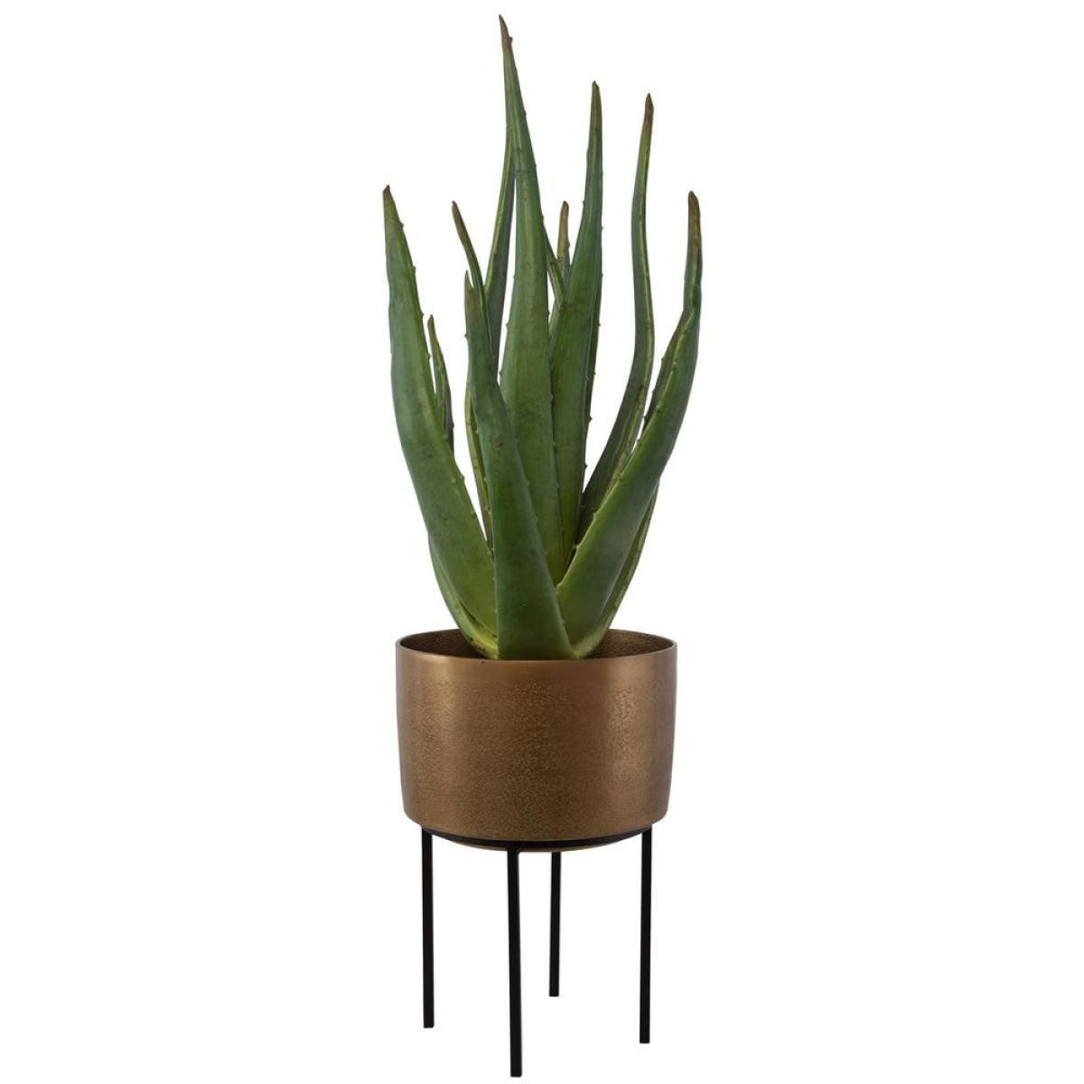 Arabia Aloe Planter, 2 Cartons - Image 4
