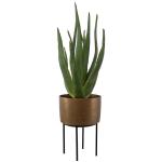Arabia Aloe Planter, 2 Cartons - Image 4