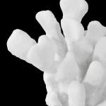 Charbel Bookends, S/2 - Image 6