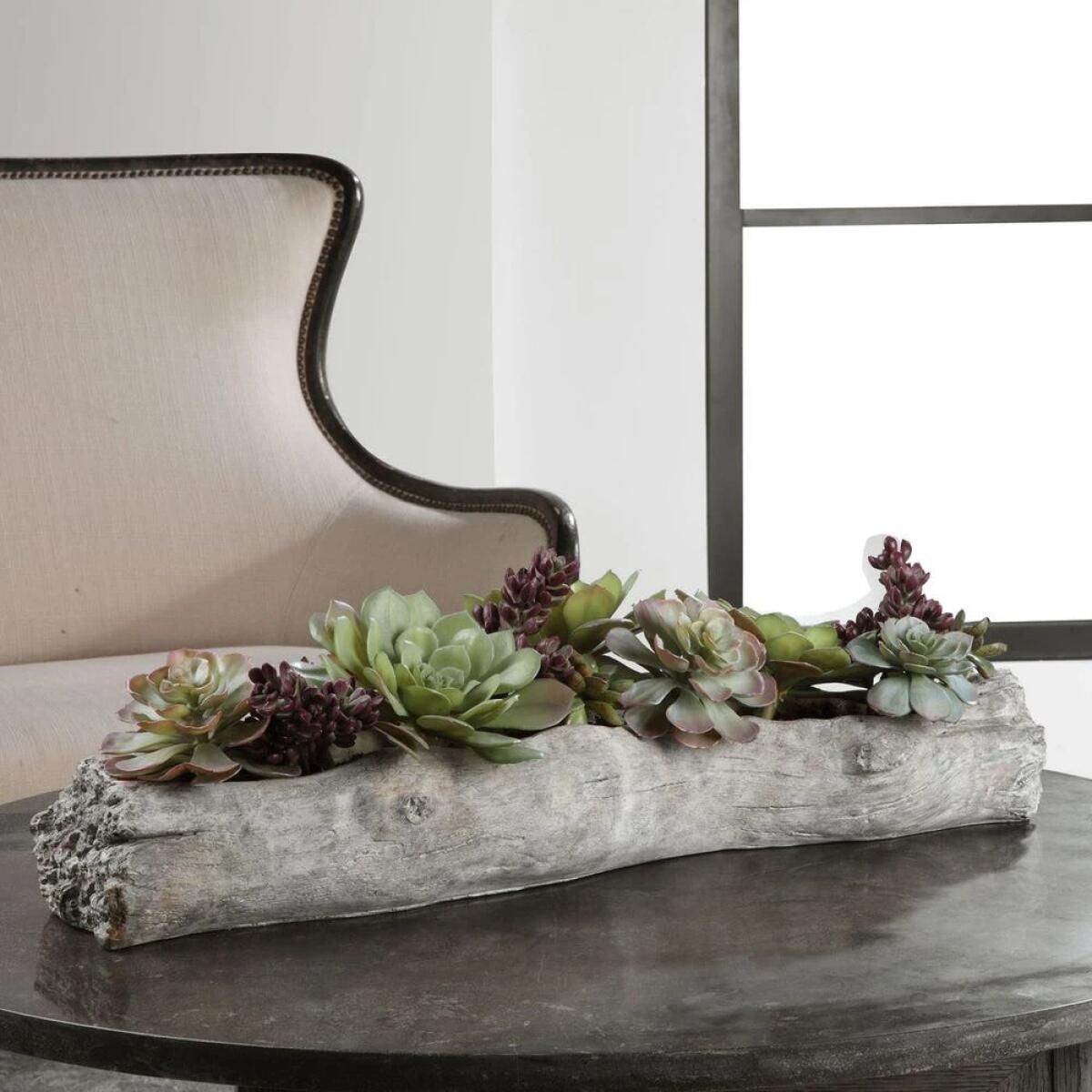 Charita Succulents - Image 2