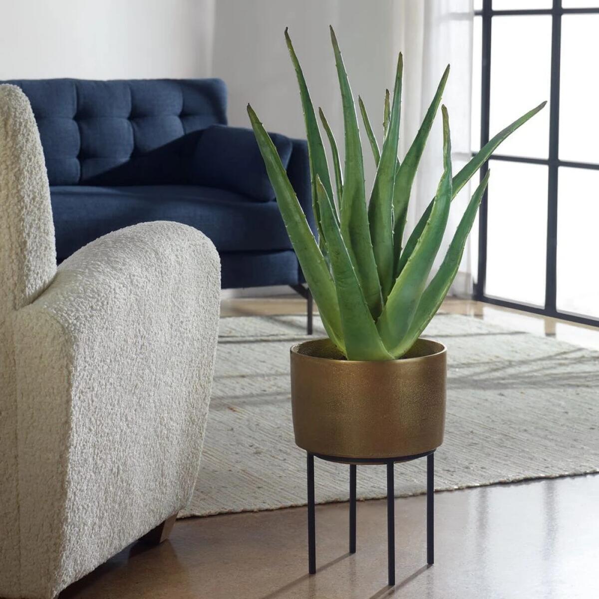 5d27375724e4f4da08f2b4a76407d3ba Arabia Aloe Planter, 2 Cartons - Image 1
