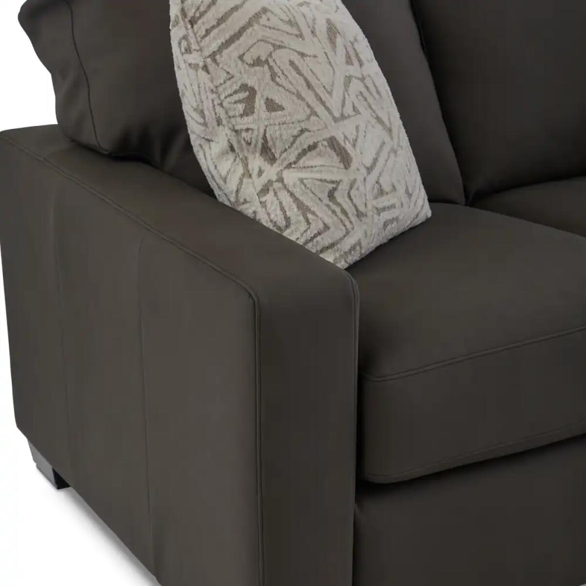 Shiloh Apartment-size Sofa - Image 9