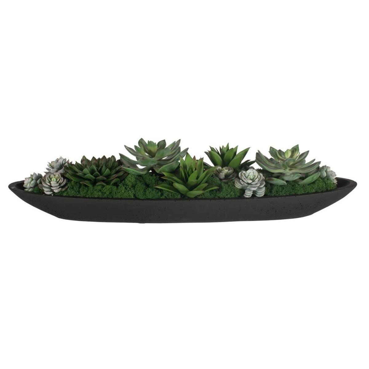 Verde Succulent Centerpiece - Image 7