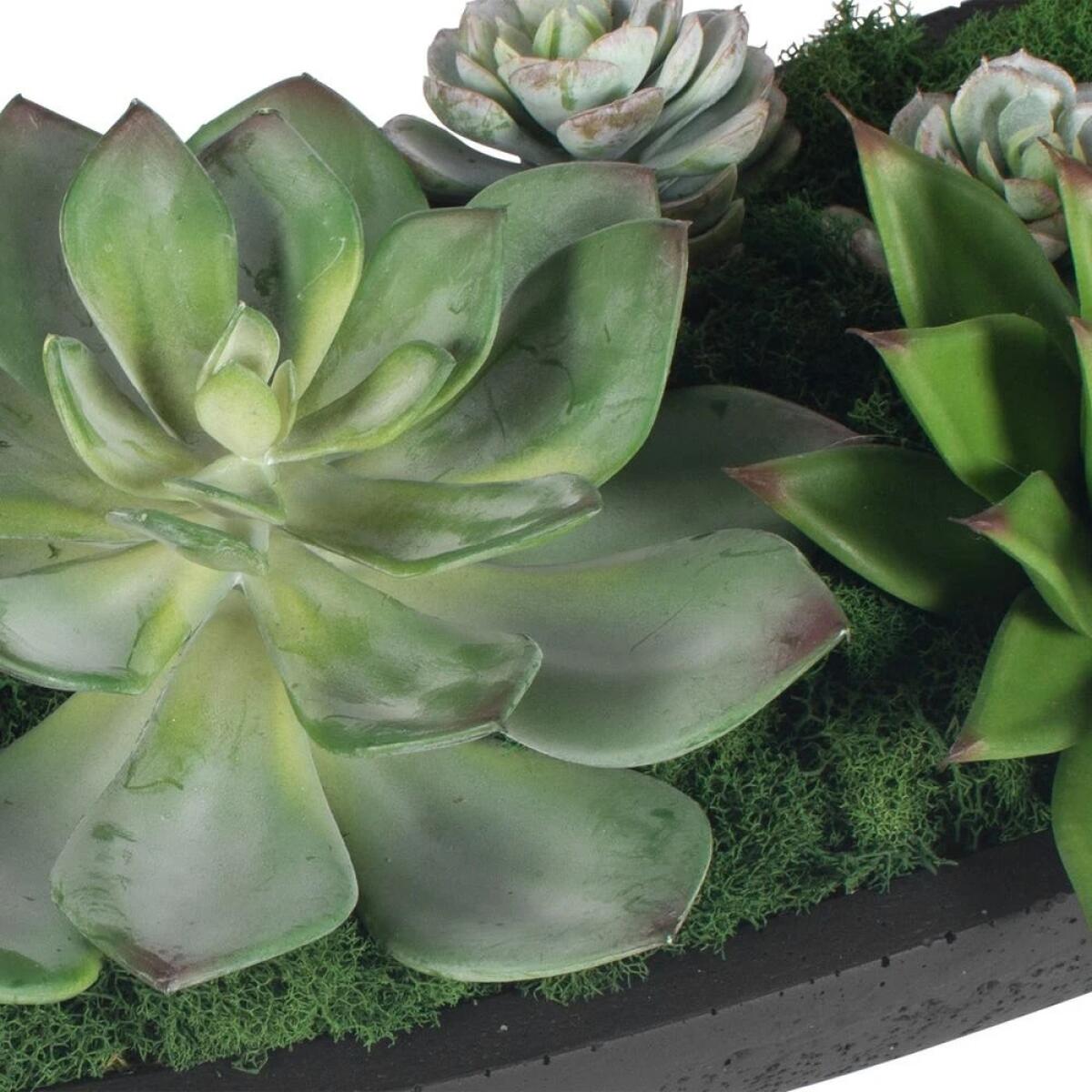 Verde Succulent Centerpiece - Image 8
