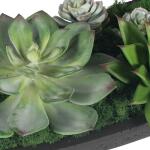 Verde Succulent Centerpiece - Image 8