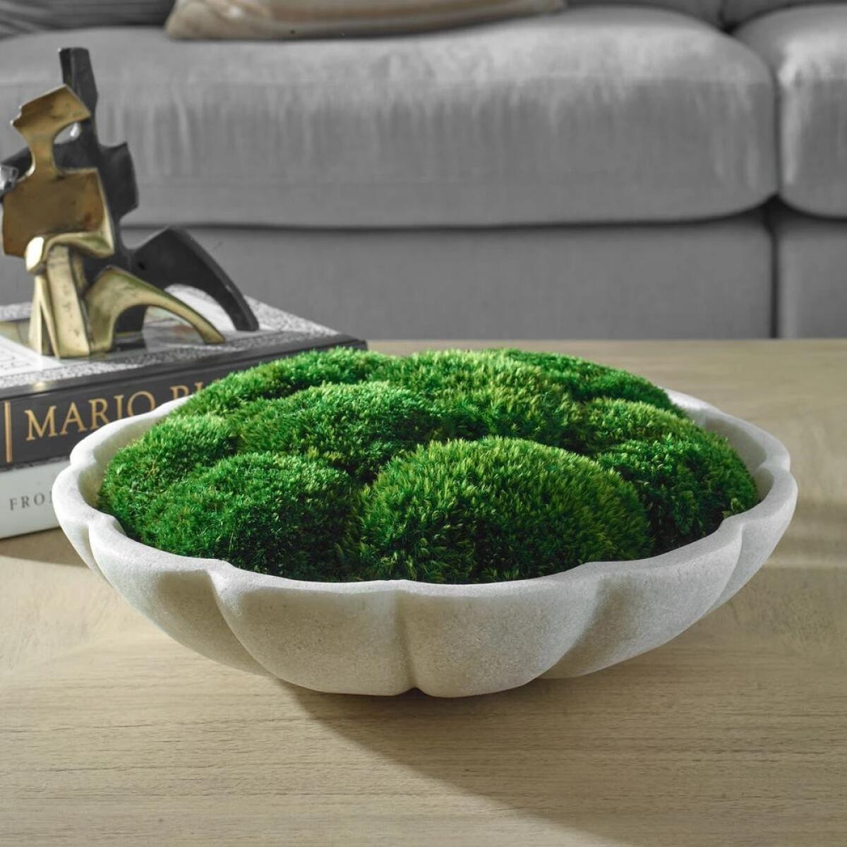 Awaken Moss Centerpiece - Image 2