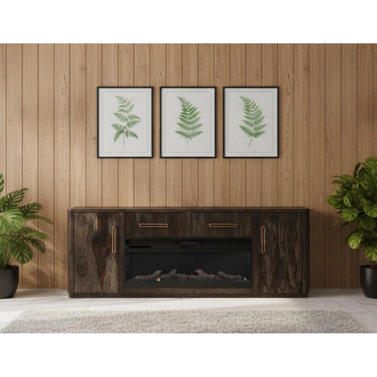 Balam 2 Drawer & 2 Door TV Stand, 80" for Fireplace - Image 7