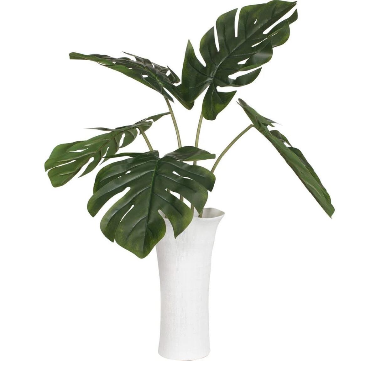 Muse Monstera Centerpiece - Image 7