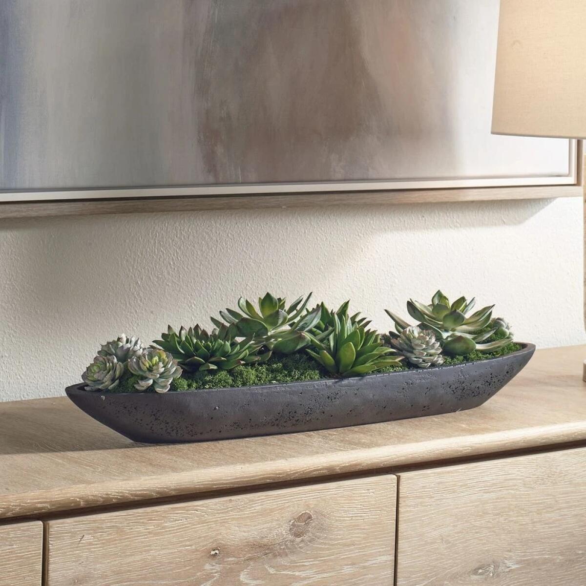 Verde Succulent Centerpiece - Image 4