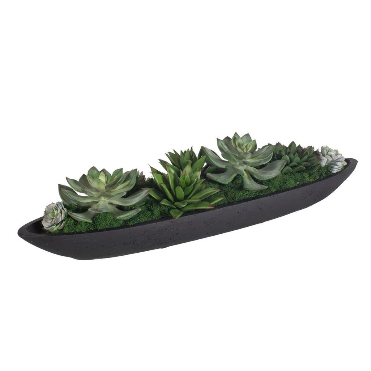 Verde Succulent Centerpiece - Image 5