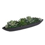 Verde Succulent Centerpiece - Image 5