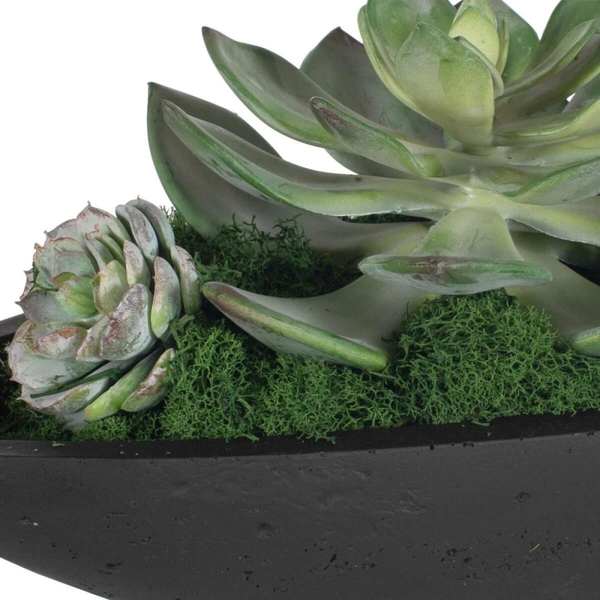 Verde Succulent Centerpiece - Image 9