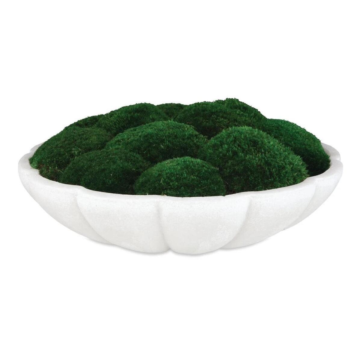 Awaken Moss Centerpiece - Image 3