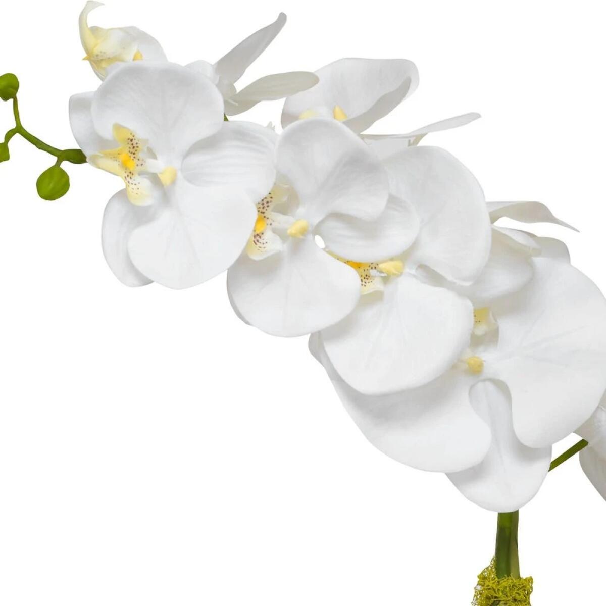 Cami Orchid, Brass - Image 6