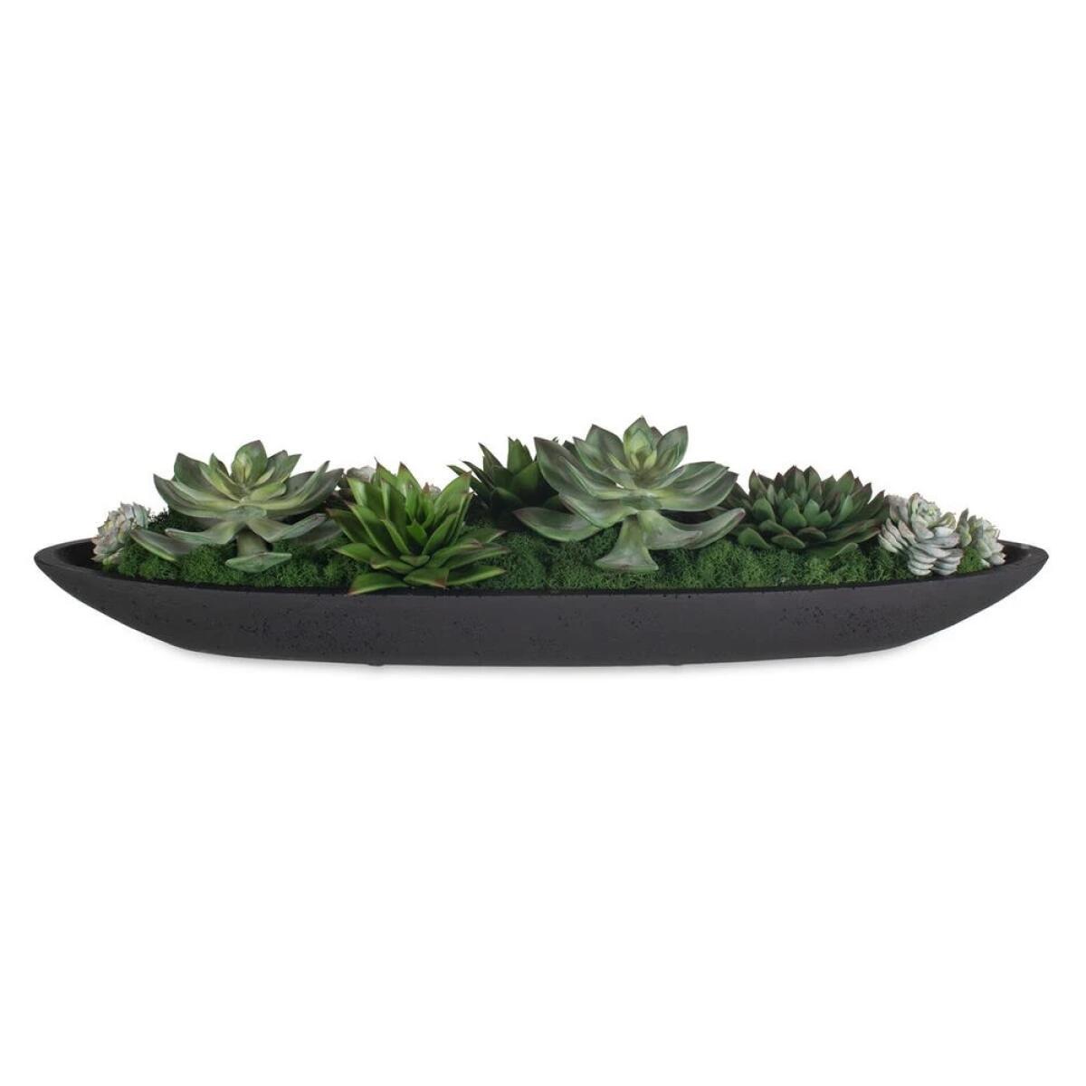 Verde Succulent Centerpiece - Image 3
