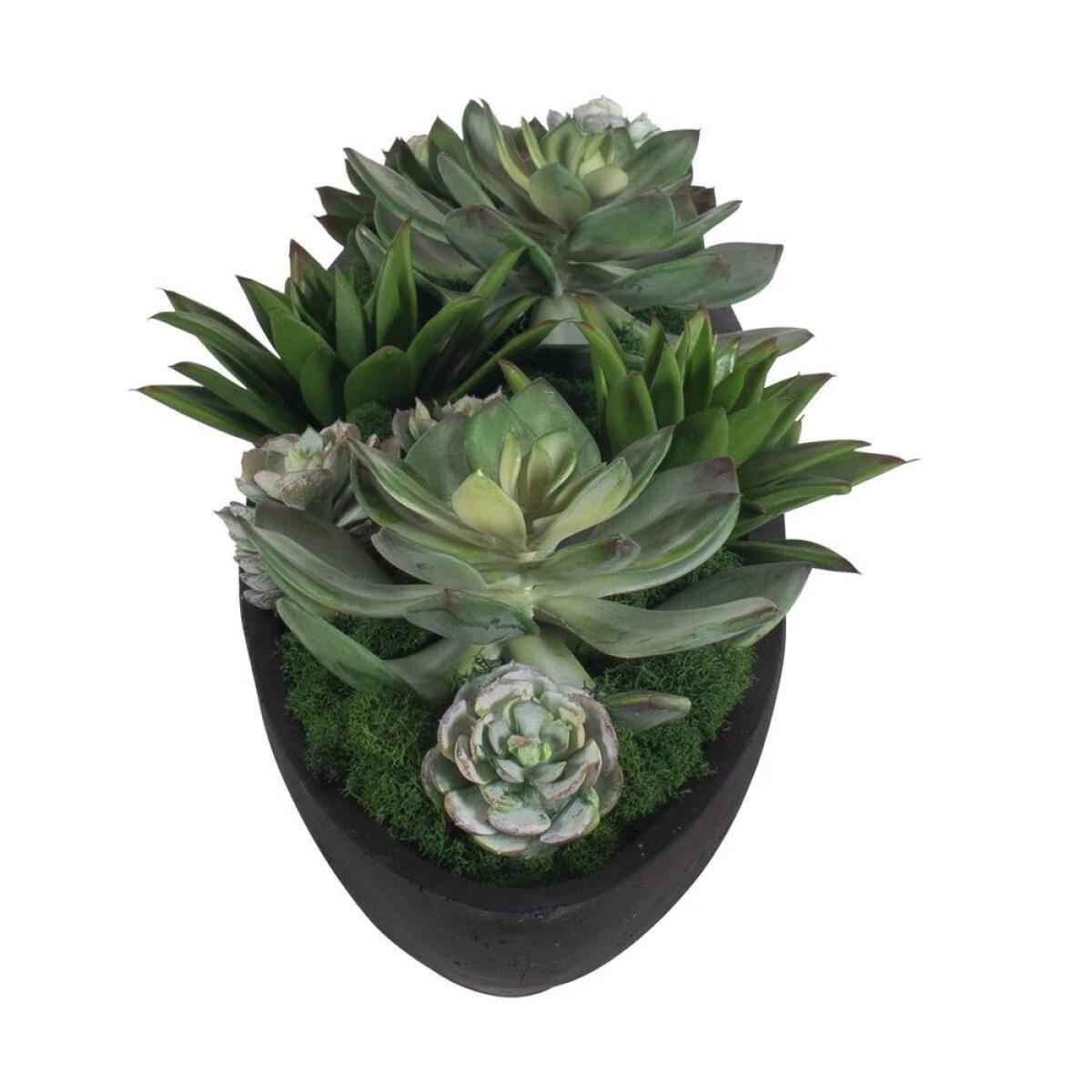 Verde Succulent Centerpiece - Image 6