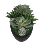 Verde Succulent Centerpiece - Image 6