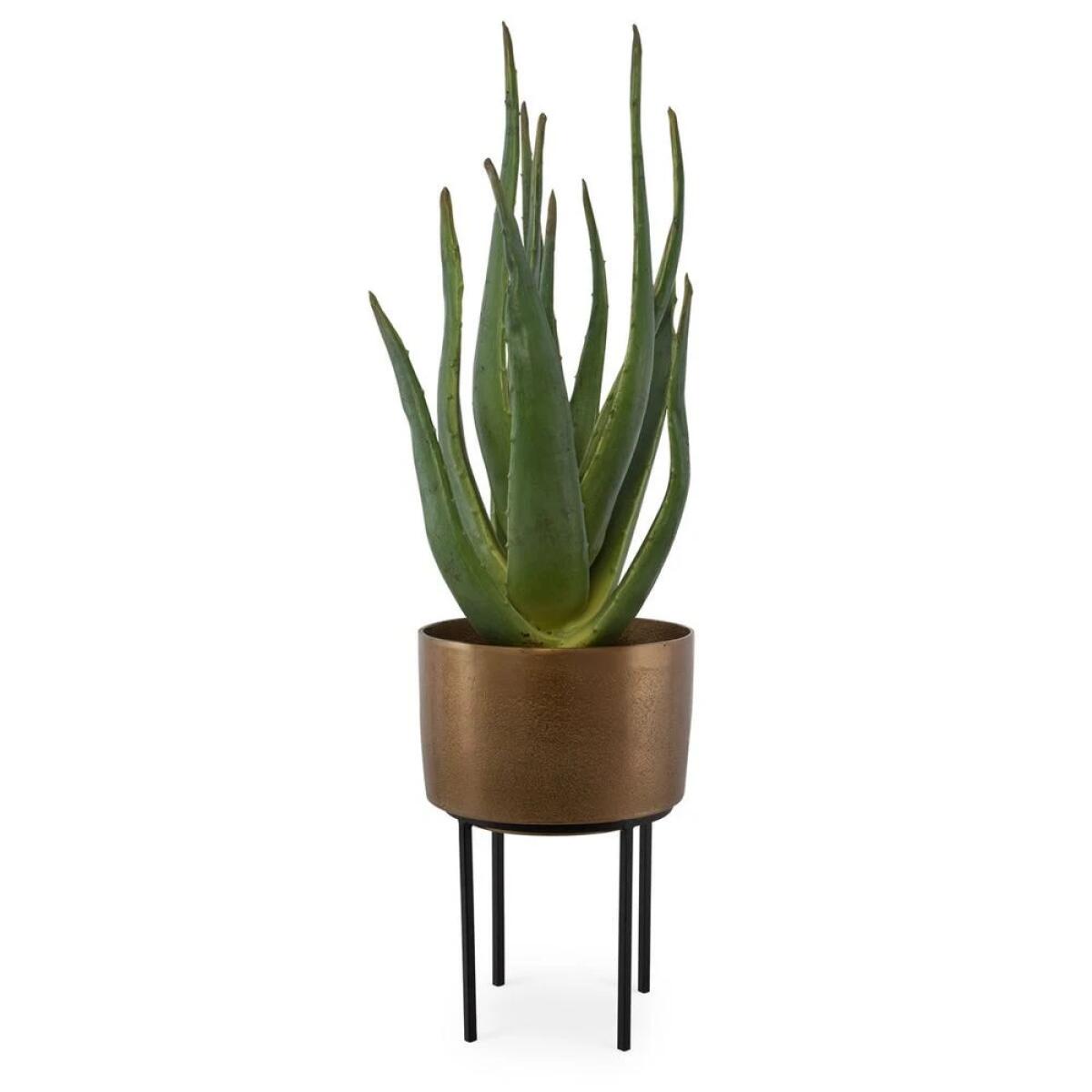 Arabia Aloe Planter, 2 Cartons - Image 3